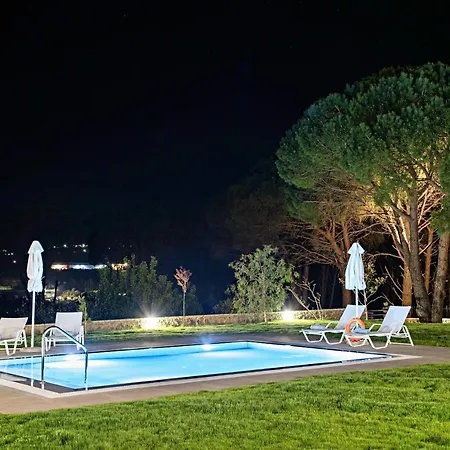 Pine Forest Kompítsion