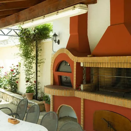 Pine Forest * Kompítsion