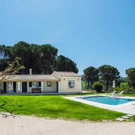 Pine Forest * Kompítsion