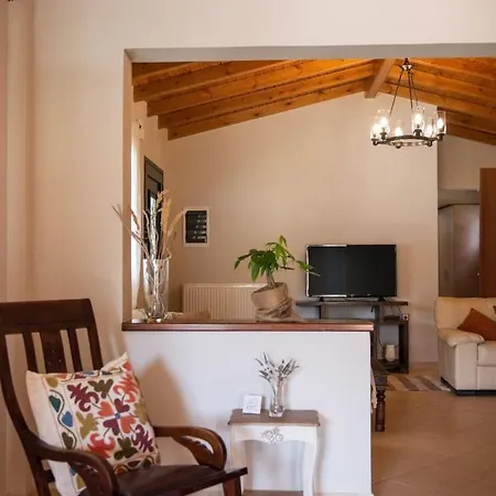 Pine Forest Kompítsion