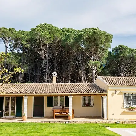 Villa Pine Forest Kompítsion