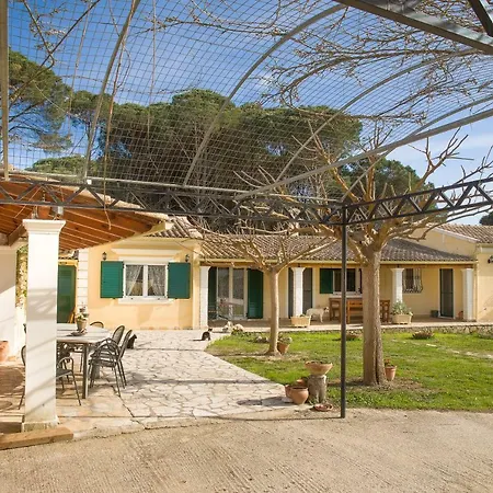 Pine Forest * Kompítsion