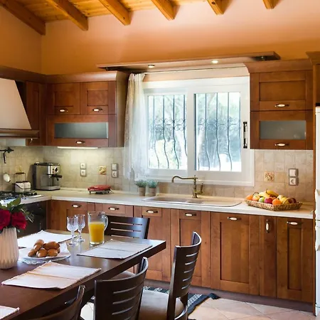 Pine Forest * Kompítsion