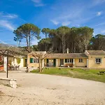Pine Forest Villa *