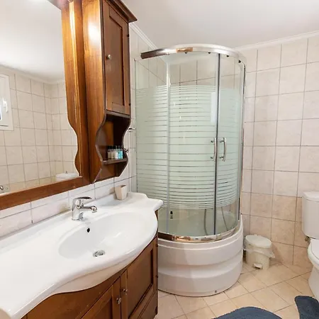 Pine Forest Kompítsion